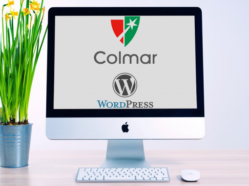 Colmar Project WordPress development