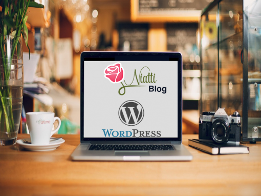 Niatti Blog WordPress development