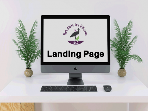 Landing Page Website NAO